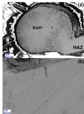 Fig. 2. SEM pictures of the shape of melting burr (a), and (b) crystallites near to the melting burr of the FINEMET sample.