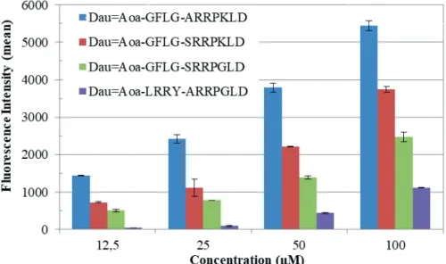 Figure 2. Cellular uptake of conjugates containing XRRPYLD peptides on EBC-1 cells (where X is  Ala or Ser and Y is Gly or Lys)