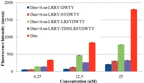 Figure 3. Cellular uptake of conjugates containing TDSILRSYDWTY sequence and its truncated  derivatives on EBC-1 cells
