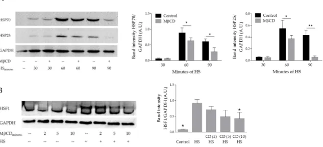 Figure 1. Cont.