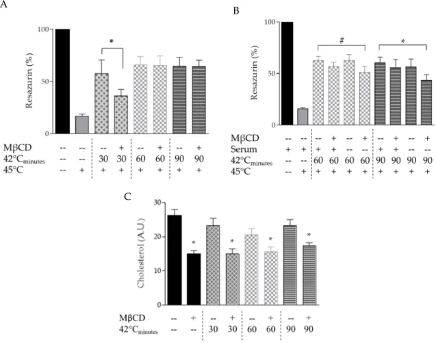 Figure 2. Effect of MβCD-induced PM modulation on development of acquired thermotolerance  (ATT) in B16-F10 cells