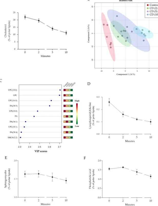 Figure 4. Effect of MβCD on B16-F10 lipidome. (A) Time-dependent changes in the levels of  cholesterol; (B) PLS-DA scores plot generated without cholesterol values; (C) Most important  discriminative features due to MβCD treatment: lysophosphatidylcholine 