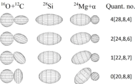 Fig. 1. Shape of some states in 28 Si. The quantum numbers in parenthesis are the U(3) labels, while the first integer shows the major shell excitation quanta