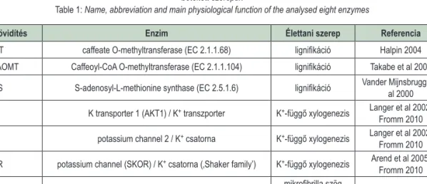 1. táblázat: A vizsgálatba vont nyolc enzim pontos megnevezése, az alkalmazott rövidítések és a főbb élettani folyamatban   betöltött szerepük 