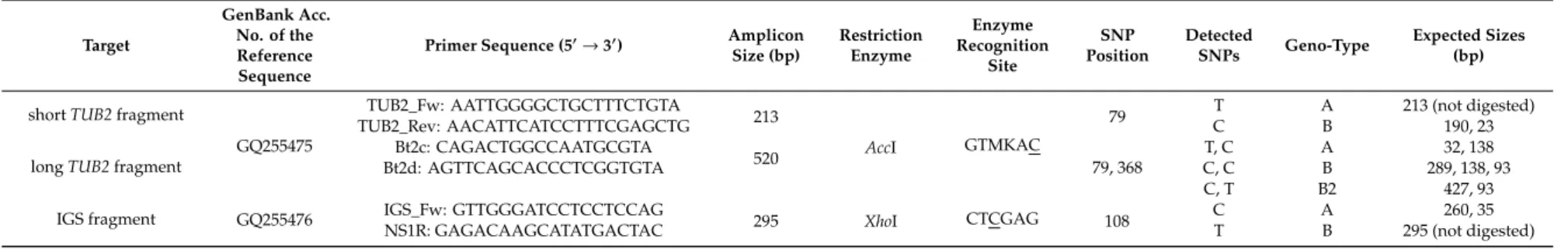 Table 1. Summary of Cleaved Amplified Polymorphic Sequence (CAPS) analyses of the beta-tubulin (TUB2) and the nrDNA intergenic spacer (IGS) fragments