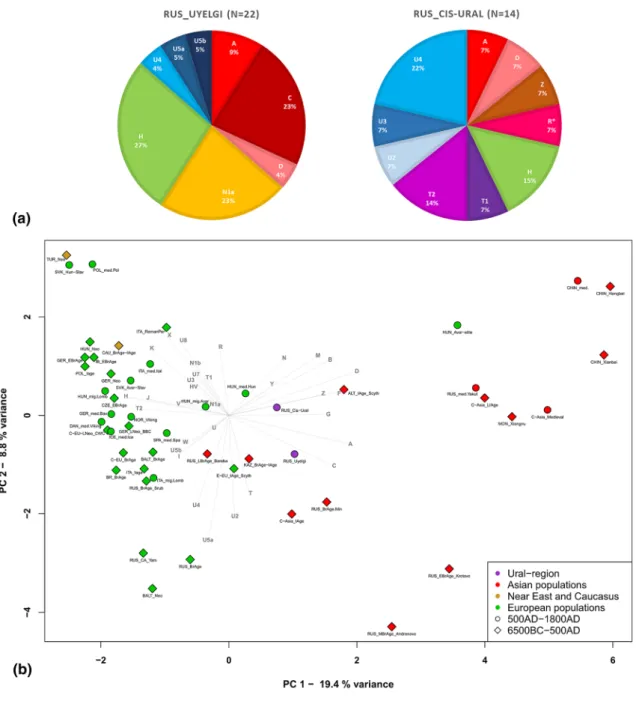Figure 2.  Mitochondrial haplogroup frequencies of the investigated populations from Ural region (a) and PCA  plot with 50 ancient populations, representing first and second principal components (b)