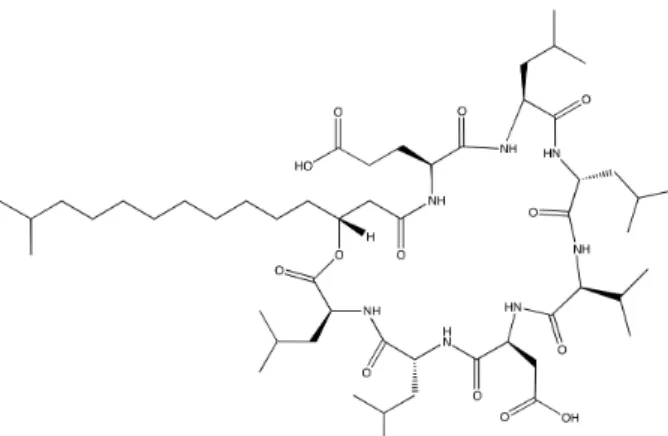 Figure 1: Chemical structure of surfactin: peptide loop of amino acids: five L-amino acids (Val, Asp, Leu, Glu and Leu) two D-amino acids (Leu and Leu), and a α,  β-hydroxy C13-C15 fatty acid chain [10]