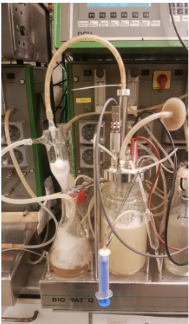 Figure 2: Fermentation setup with foam-separating glass cyclone