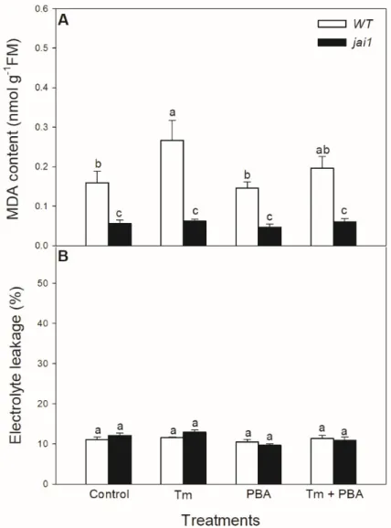 Figure 9. Changes in malondialdehyde (MDA) content (A) and electrolyte leakage (B) from the  leaves of wild-type (WT) and JA signalling mutant (jai1) tomato plants exposed to 5 μg mL −1 tunicamycin (Tm), 1 mM 4-phenylbutyrate (PBA), and Tm + PBA for 6 h