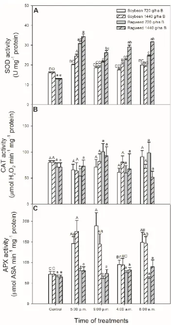 Figure 5. Changes in the activity of superoxide dismutase (SOD; A), catalase (CAT; B) and ascorbate  peroxidase  (APX;  C)  in  leaves  of  soybean  (white  columns)  and  common  ragweed  plants  (grey  columns) treated foliar with 720 or 1440 g ha −1  be