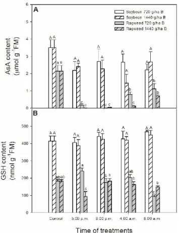 Figure 6. Changes in the ascorbate (AsA; A) and glutathione (GSH; B) content in leaves of soybean  (white columns) and common ragweed plants (grey columns) treated foliar with  720 or 1440 g ha −1 bentazon at different times [at the end of light cycle (5:0