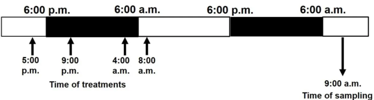 Figure 1. Experimental setup of bentazon treatments and time of samplings . 