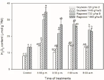 Figure 4. Changes in the H 2 O 2  content in leaves of soybean (white columns) and common ragweed  plants (grey columns) treated foliar with 720 or 1440 g ha −1  bentazon at different times (at the end of  light  cycle  (5:00  p.m.),  at  night  (9:00  p.m