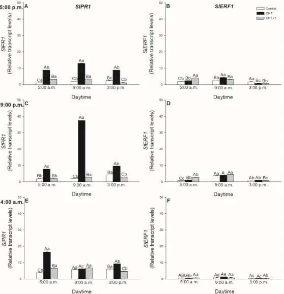 Figure 9. Changes in the relative expression levels of SlPR1 (A,C,E) and SlERF1 (B,D,F) in leaves of  intact  tomato  plants  treated  foliar  with  100  μg  mL –1   chitosan  (CHT) dissolved  in  the  experimental  buffer (1 mM AA, 10 mM MES/TRIS, 10 mM K