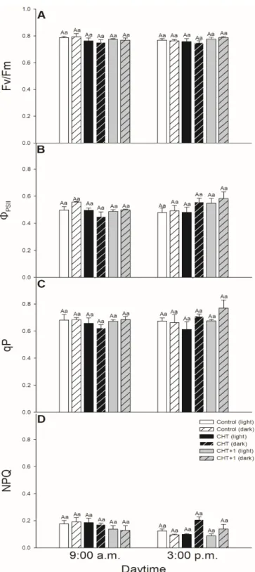 Figure 6. Changes in the chlorophyll a fluorescence parameters [Fv/Fm (A),  PSII  (B), qP (C), NPQ  (D)] of stomata on the abaxial epidermal strips of intact tomato plants treated foliar with 100 μg mL –Figure 6.Changes in the chlorophyllafluorescence par