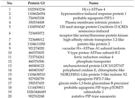 Table 1. List of the 20 most abundant proteins within the dataset of the 100 most common proteins between two biological replicates, as determined by quantitative label-free proteomics.