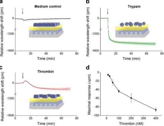 Figure 5.  Fine-tuning of the label-free measurement of dynamic mass redistribution on confluent HUVEC  monolayers