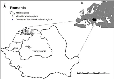 Fig. 1. The studied wine regions of Romania: Maramure ș (Satu -Mare and surroundings),   Crișana (Miniș) and Transylvania (Aiud and surroundings) 