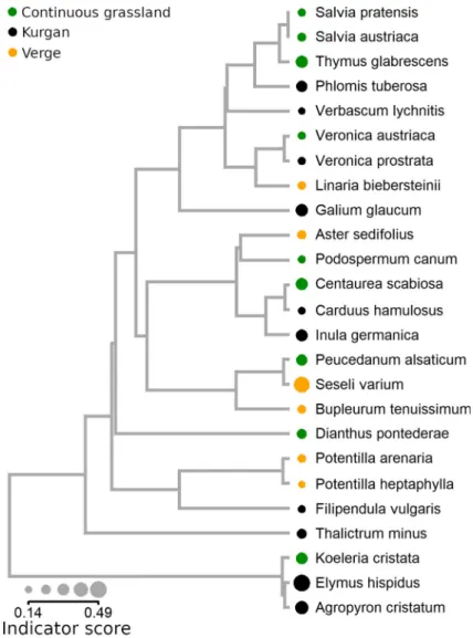 Fig. 5 Linking abundance-weighted evolutionary distinctiveness to indicator scores using phylogenetic information