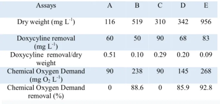 Table  2.  Dry  weight,  Doxycycline  removal,  Chemical  Oxygen  Demand  after  14  days  of  treatment  with  activated  sludge at 25°C