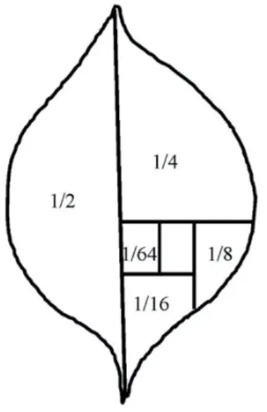Figure 1. Diagrammatic representation of a potato leaf and used for assessing the feeding damage caused by Colorado potato beetle larvae.