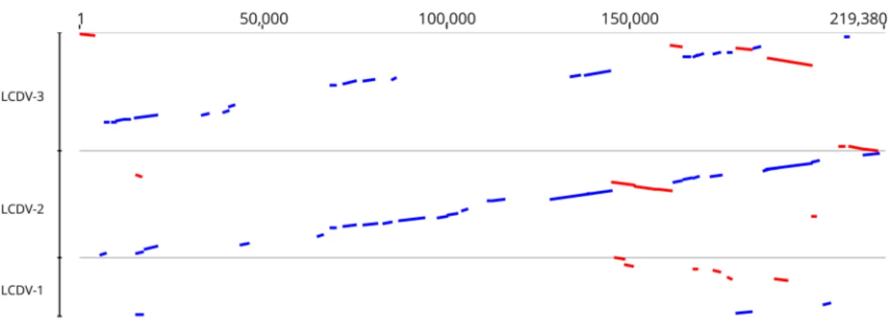 Fig. 1    Comparison of the whitemouth croaker lymphocystis dis- dis-ease virus (LCDV-WC) genome sequence to those of LCDV1-3