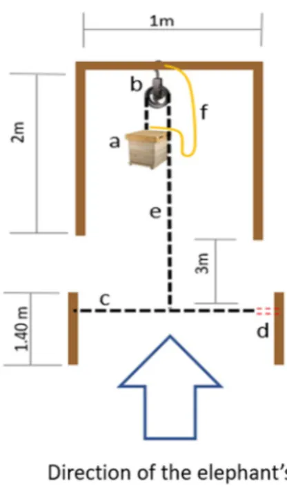 Fig. 1    Beehive fence design. (a) beehive, (b) pulley, (c) tripping wire,  (d) weak piece of rope designed to break when the elephants pass  over the tripping wire (c), (e) rope connecting hive to the tripping  wire (c), (f) security rope preventing the 