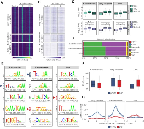 Figure 1. Regulatory elements with distinct temporal genome activity patterns identify and link the EGR motifs to late genome activ- activ-ities