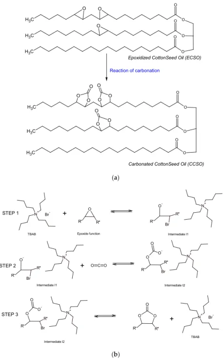Figure 2. The applied reaction mechanism (a) simplified (b) detailed with catalyst [5]