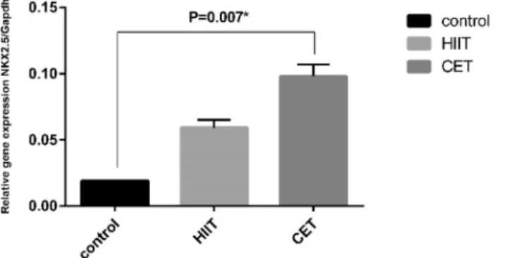 Figure 4. Exercise-induced changes in myocardial Nkx2.5 expression. RT–PCR analysis showed the upregulation of Nkx2.5 gene expression in the HIIT and CET groups compared with the CO group