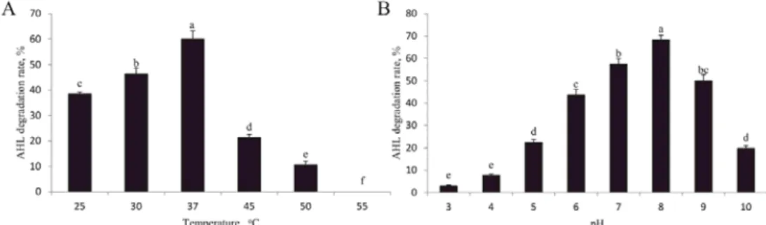 Fig. 1. Eﬀ ects of temperature and pH on AHL-degrading activity of S. putrefaciens lactonase enzyme Aac