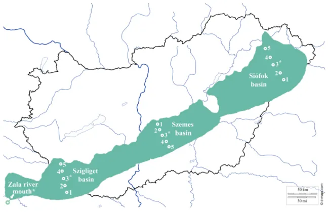 Fig. 1    Location of the sampling site in Hungary, and the position of 16 sampling areas on Lake Balaton and the inflow Zala River (map of Hun- Hun-gary: https ://d-maps.com/carte .php?num_car=3563&amp;lang=en)