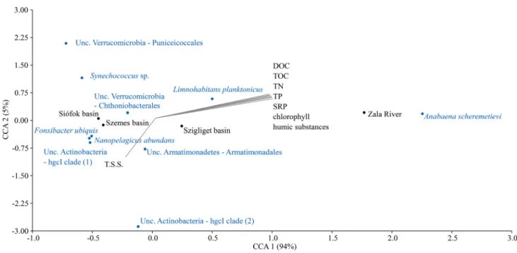 Fig. 5    Canonical Correlation Analysis (CCA) between 10 most abundant microbial OTUs of planktonic samples, environmental factors and  sampling areas