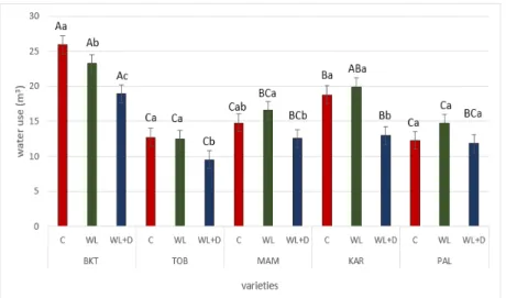 Figure 5. Water-use values of ‘Bánkúti 1201’ (BKT), ‘Mv Toborzó’ (TOB), ‘Mv Mambó’ (MAM), ‘Mv  Karizma’ (KAR) and ‘Mv Pálma’ (PAL) varieties in the different treatments