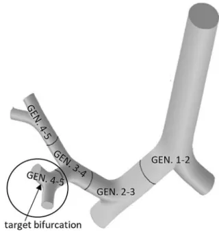 Table 1    Geometric data of the model airway bifurcation Length of parent 