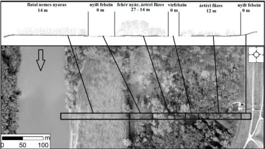 2. ábra Különböző növényzeti kategóriák megjelenése a LiDAR pontfelhő oldalnézeti képén és az ortofotón  Figure 2