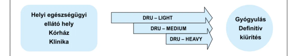 3. ábra. A DRU helye és szerepe a progresszív betegellátási folyamatban   (Forrás: a szerzők saját ábrája)