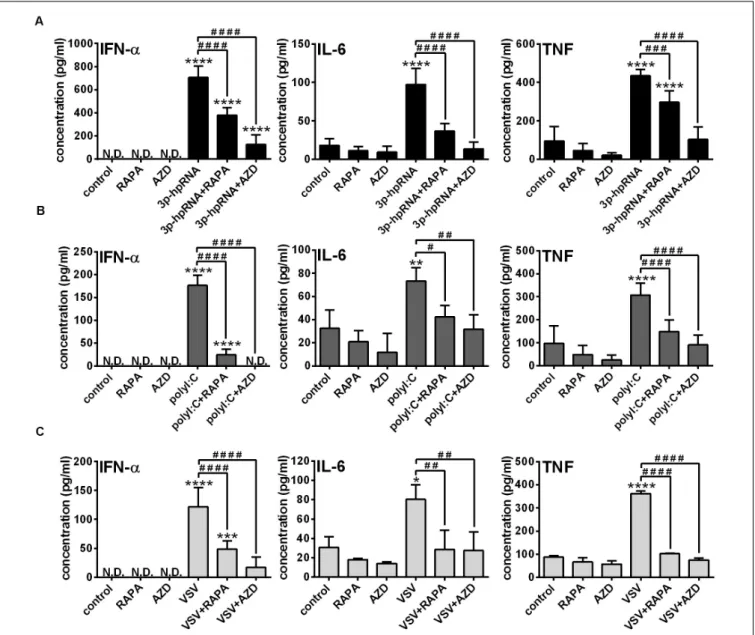 FIGURE 6 | The RLR-mediated production of IFN-α and pro-inflammatory cytokines is decreased upon mTOR inhibition in GEN2.2 cells