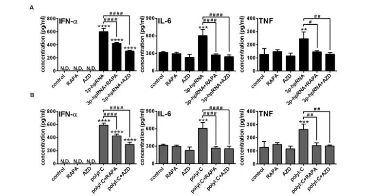 FIGURE 8 | The RLR-stimulated secretion of IFN- α and pro-inflammatory cytokines is abolished upon mTOR blockade in primary human pDCs