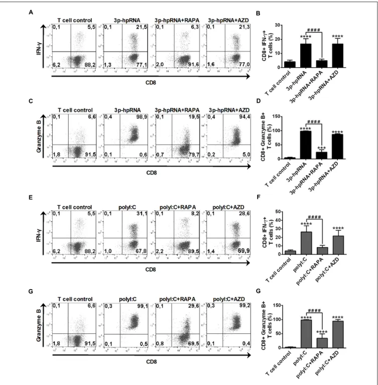 FIGURE 10 | Rapamycin but not AZD8055 decreased the T cell activating capacity of RLR-activated moDCs