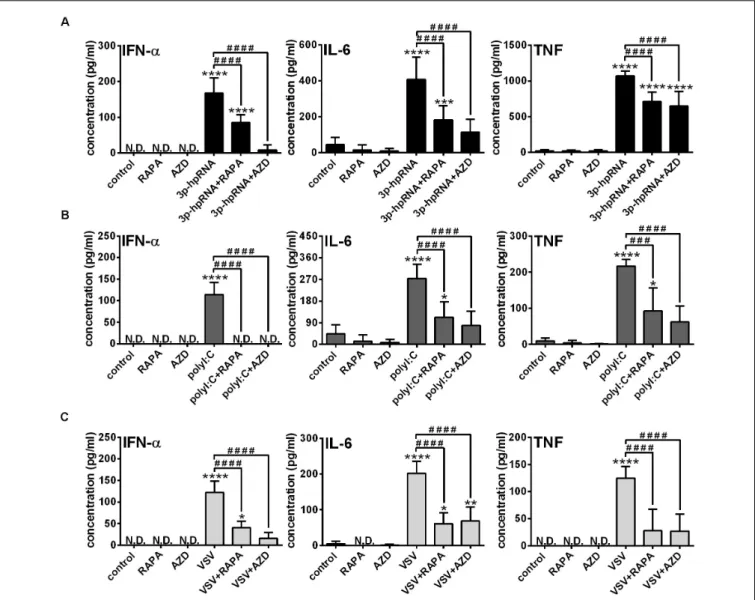 FIGURE 3 | The RLR-mediated production of IFN- α and pro-inflammatory cytokines is decreased upon mTOR blockade in moDCs