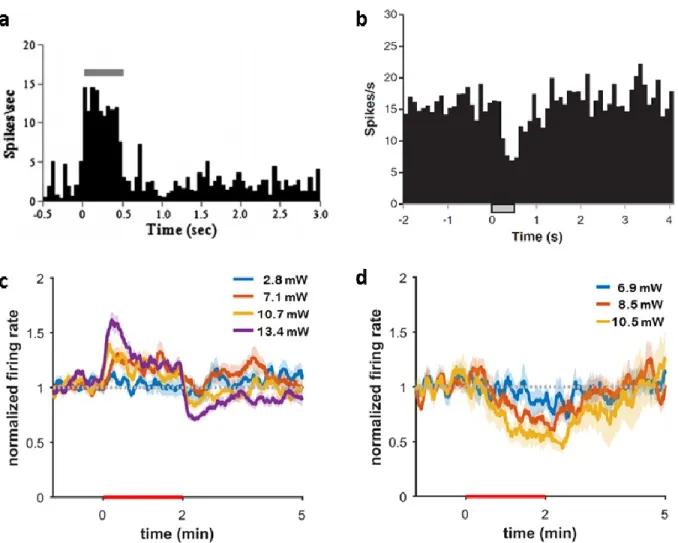 Figure 1. Evoked neuronal response to pulsed and continuous-wave irradiation in vivo. a) Excitatory single  unit response evoked by pulsed INS of the macaque’s primary visual cortex at a depth of 340 µm (Cayce,  2014)