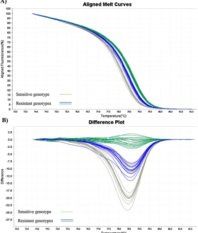 Fig. 2. High resolution melt analyses of M. hyopneumoniae strains for the detection of ﬂ uoroquinolone resistance.