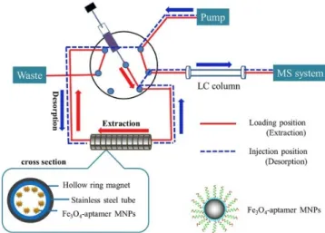 Figure 13. An aptamer-based online magnetic solid phase extraction for HPLC – MS analysis of  o 8 dGuo
