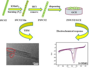 Figure 2. Glassy carbon electrode (GCE)/multi-walled carbon nanotubes (MWCNT) sensor for the  determination of o 8 dGuo