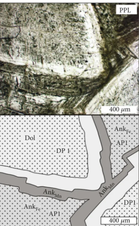 Figure 8: Photomicrograph and sketch about the arrangement of the primary ﬂ uid inclusion assemblages (DP1 and AP1) in Dol and Ank Fe phases from a quartz-carbonate vein (borehole Bm–