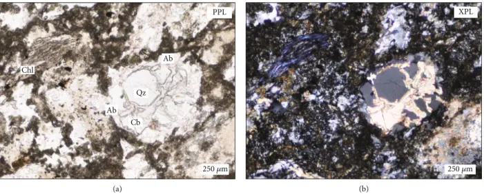 Figure 4: Hydrothermal alteration of siliciclastic host rocks (borehole Bm – 1, 1062.3 m)
