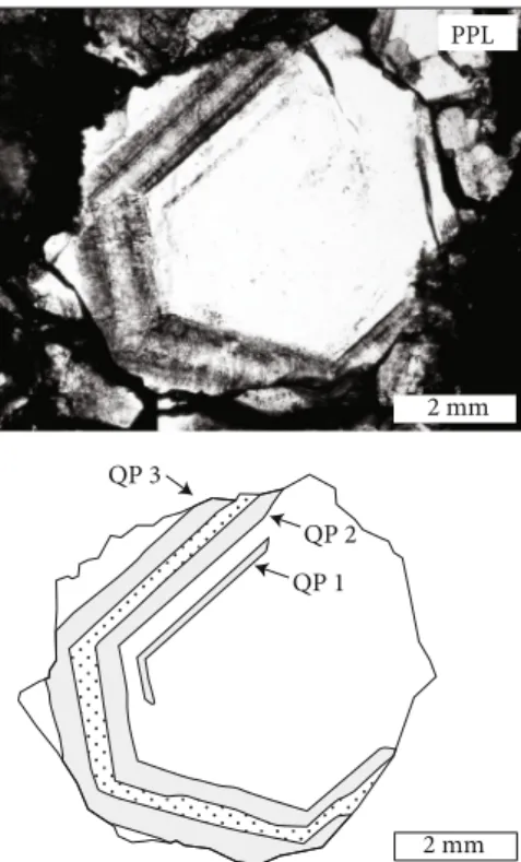 Figure 7: Photomicrograph and sketch about the arrangement of ﬂ uid inclusion assemblages (primary: QCP1 to QCP4, pseudosecondary: QCPS1 and QCPS2, secondary: QCS1) in a quartz single crystal from a quartz-carbonate vein (borehole Bm – 1, 875.0 m)