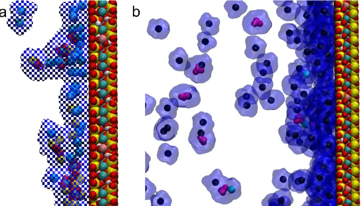 Figure 9. Snapshots from videos of simulation results, showing the attachment of ions and clusters to  the montmorillonite surface through water molecules