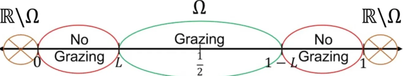 Figure 1.3: Grazing region, non grazing regions and exterior matrix.        − u 00 = λh ( u ) ; x ∈ ( 0, 1 ) ,−u0(0) +γ√λg(u(0))u(0 ) = 0, u 0 ( 1 ) + γ √ λg ( u ( 1 )) u ( 1 ) = 0, (1.5) where g ( s ) = 1 − α ( s ) α ( s ) .